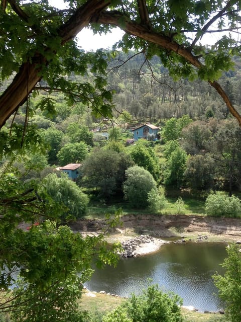 Property building, Natural landscape, Beach, River view