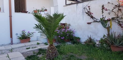 La Casa Sul Porto Eigentumswohnung in Brindisi