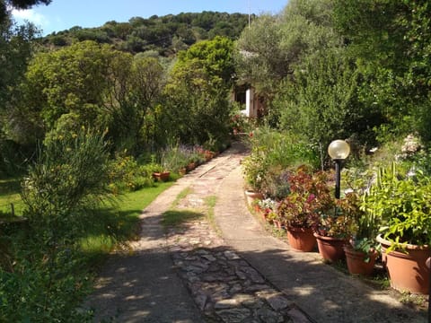 B&B S'Archiotta Bed and Breakfast in Sardinia