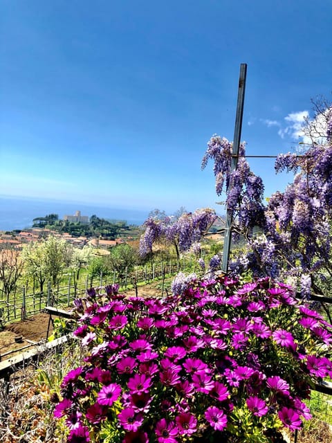 Spring, Garden, Garden view