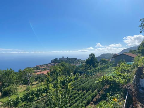 Spring, Natural landscape, Sea view