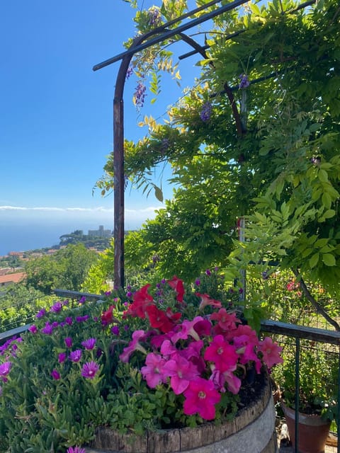 Spring, Garden view, Sea view