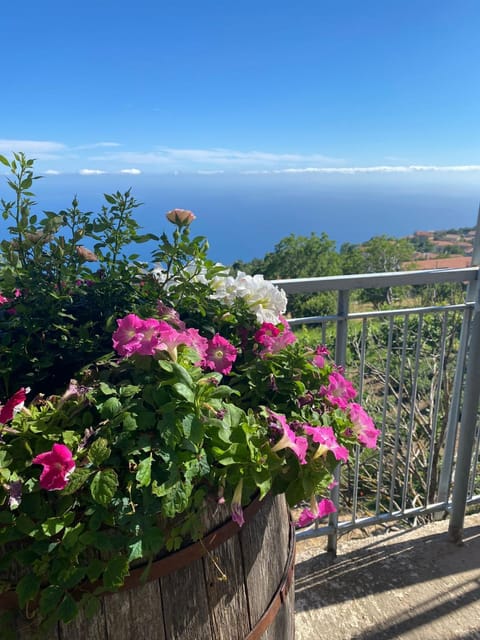 Spring, Day, Garden, Garden view, Sea view