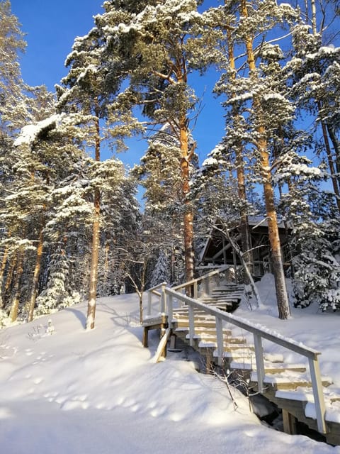 Natural landscape, Winter