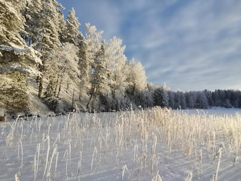 Natural landscape, Winter, Hiking