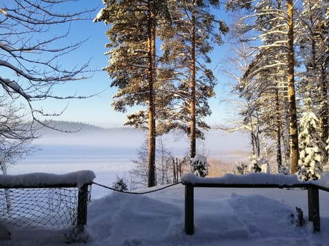 Natural landscape, Winter