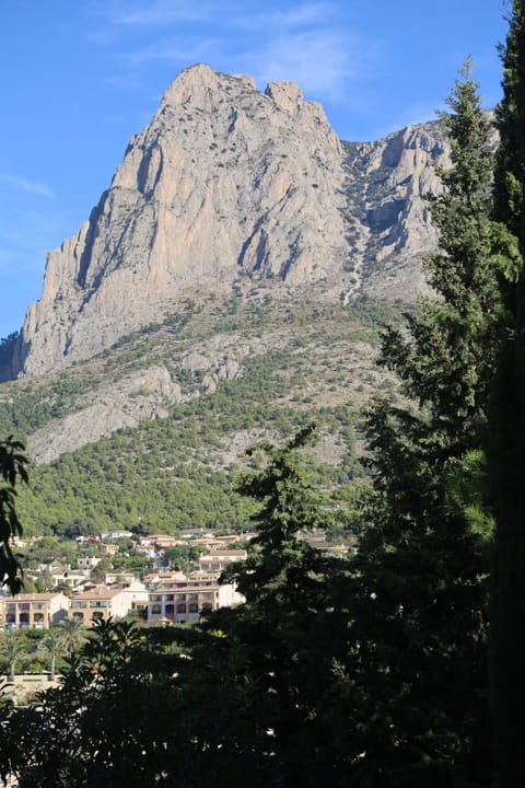 Nearby landmark, Natural landscape