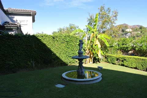 Garden view