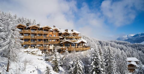 Property building, Day, Natural landscape, Winter, Mountain view