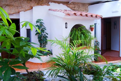 Patio, Inner courtyard view