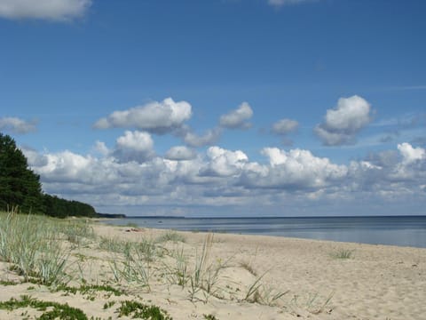 Spring, Natural landscape, Summer, Beach