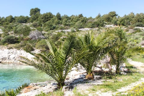 Natural landscape, Beach