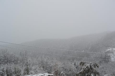 Winter, Mountain view