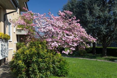 Facade/entrance, Garden