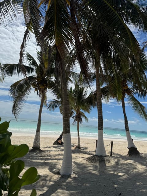 El Paraiso Hotel Tulum Hotel in State of Quintana Roo