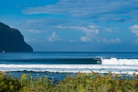 Natural landscape, Beach, Sports