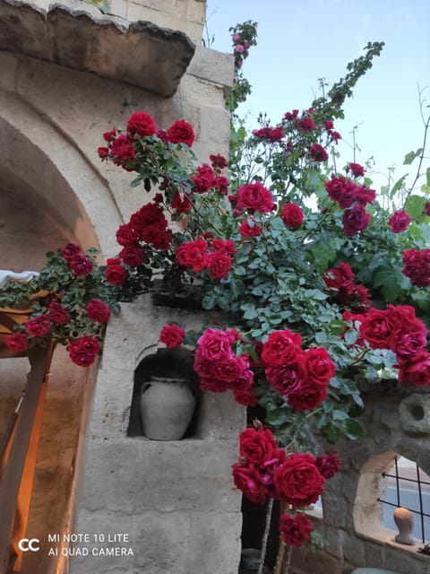 Kayhan Cave Villa House in Kayseri, Türkiye