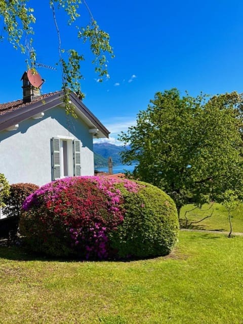 Day, Natural landscape, Garden, Garden view, Lake view