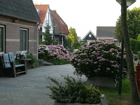 Facade/entrance, Garden view