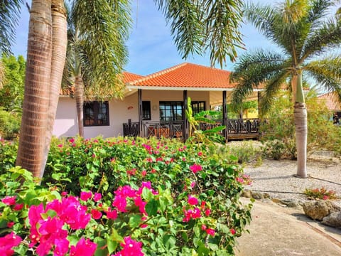 Property building, Garden, Garden view