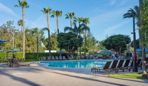 Activities, On site, Pool view, Swimming pool