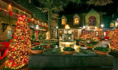 A Desire Fulfilled Holiday home House in Gatlinburg