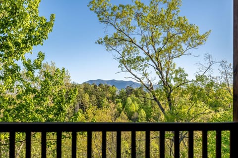 Eagles Nest Holiday home House in Gatlinburg