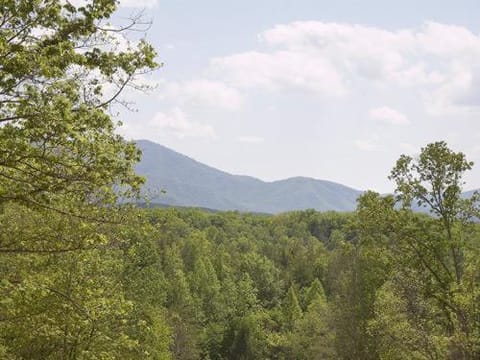 Majestic Views Holiday home Maison in Gatlinburg