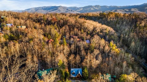 Mountain Laurel Holiday home House in Gatlinburg