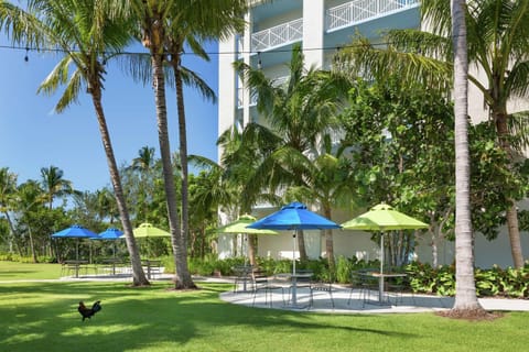 Hilton Garden Inn Key West / The Keys Collection Hotel in Key West