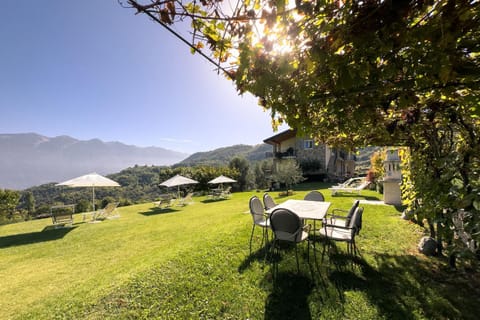 Natural landscape, Garden, Solarium, Mountain view