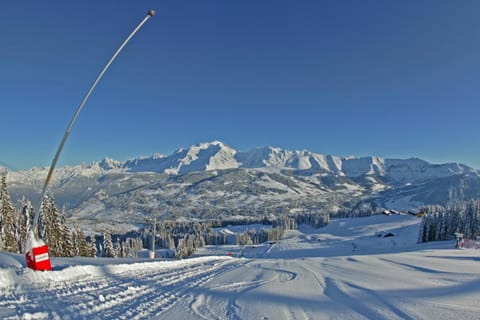 Natural landscape, Skiing