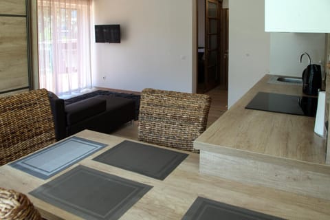 Kitchen or kitchenette, Living room, Dining area