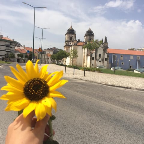 Nearby landmark, City view, Garden view, Landmark view, Street view