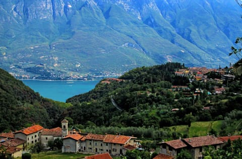 Neighbourhood, Natural landscape, View (from property/room), Mountain view