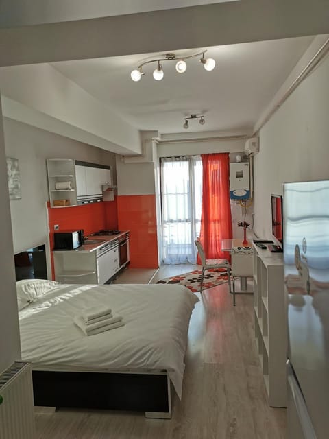 Bed, Kitchen or kitchenette, Photo of the whole room