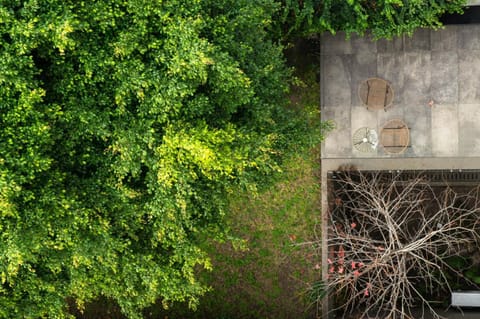 Garden, Garden view