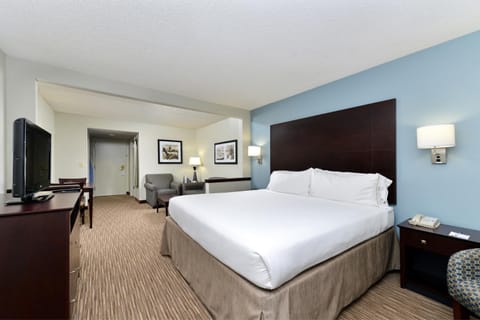 Holiday Inn Express Hotel & Suites Tampa-Rocky Point Island, an IHG Hotel Hotel in Town N Country