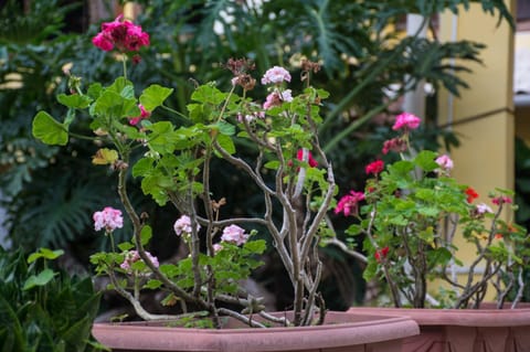 3 Palmeiras Guest Lounge Bed and Breakfast in Miguel Pereira