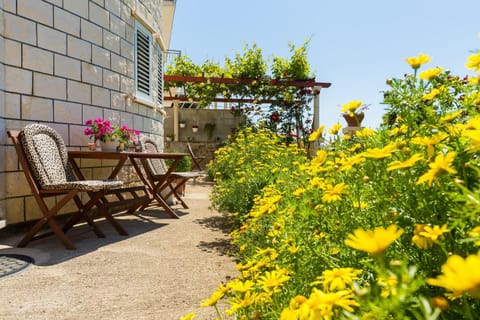 Patio, Spring