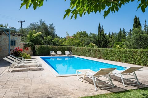 Garden, Garden view, Pool view, Swimming pool, sunbed