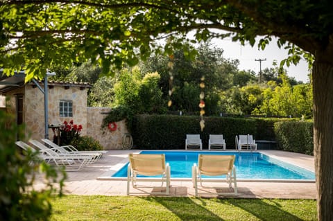 Garden, Garden view, Pool view, Swimming pool, sunbed