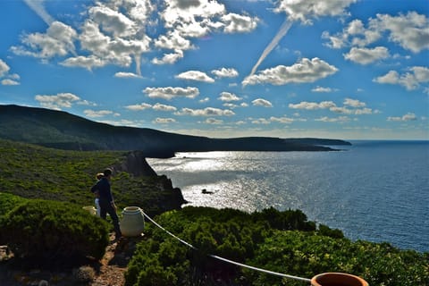 Natural landscape, Sea view, group of guests