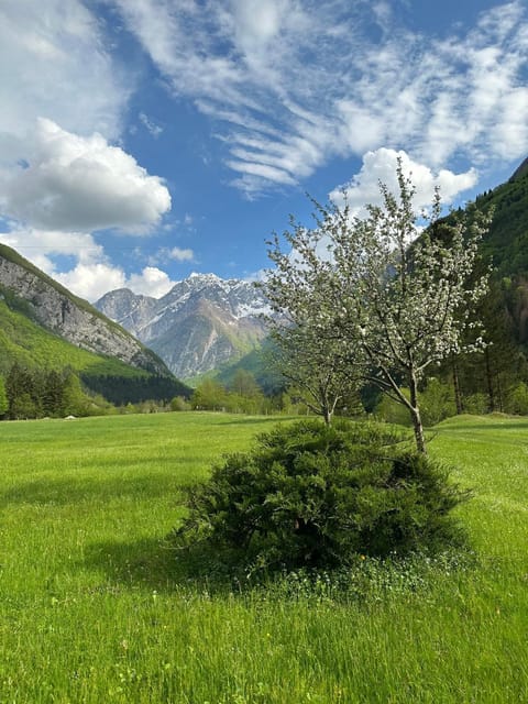 Neighbourhood, Natural landscape