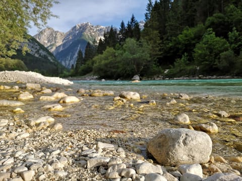 Natural landscape, Fishing, Beach, Mountain view, River view