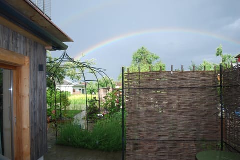 Patio, Summer, Garden, Garden view