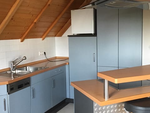 Kitchen or kitchenette, Photo of the whole room, Decorative detail