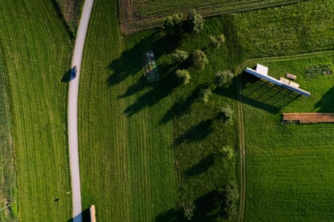 Day, Neighbourhood, Bird's eye view