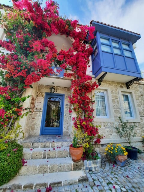 Property building, Spring, Day