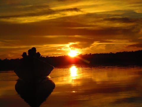 Natural landscape, Activities, Sunset